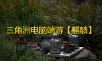 三角洲电脑端游【麒麟】辅助